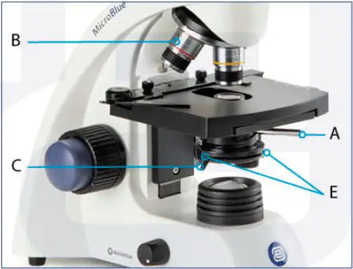 euromex-Blue-Line-Series-Microscopes-Holland-9