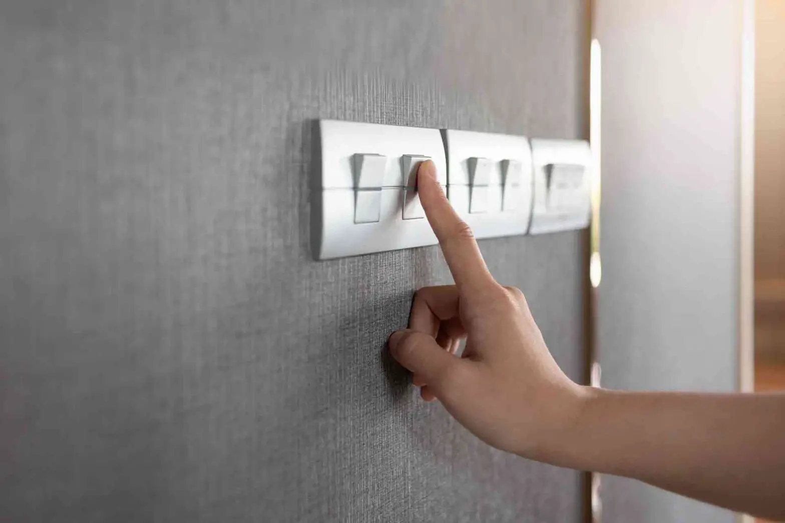 Z-wave Plus Eva Logik Smart Dimmer Switch User Manual Z-wave Plus Eva Logik Smart Dimmer Switch User Manual