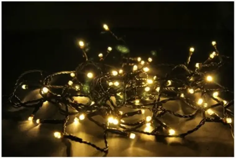 EKVIP 022375 LED String Light