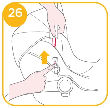 Detaching Canopy and Seat Pad