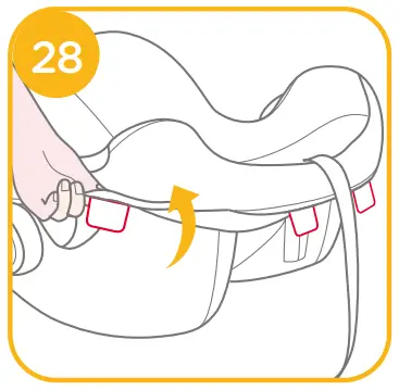 Detaching Canopy and Seat Pad