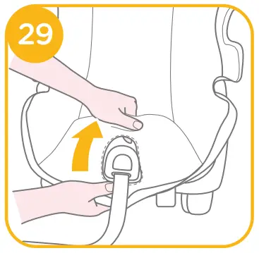 Detaching Canopy and Seat Pad