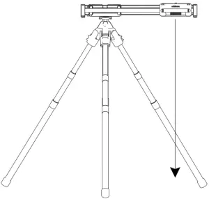 tripod legs