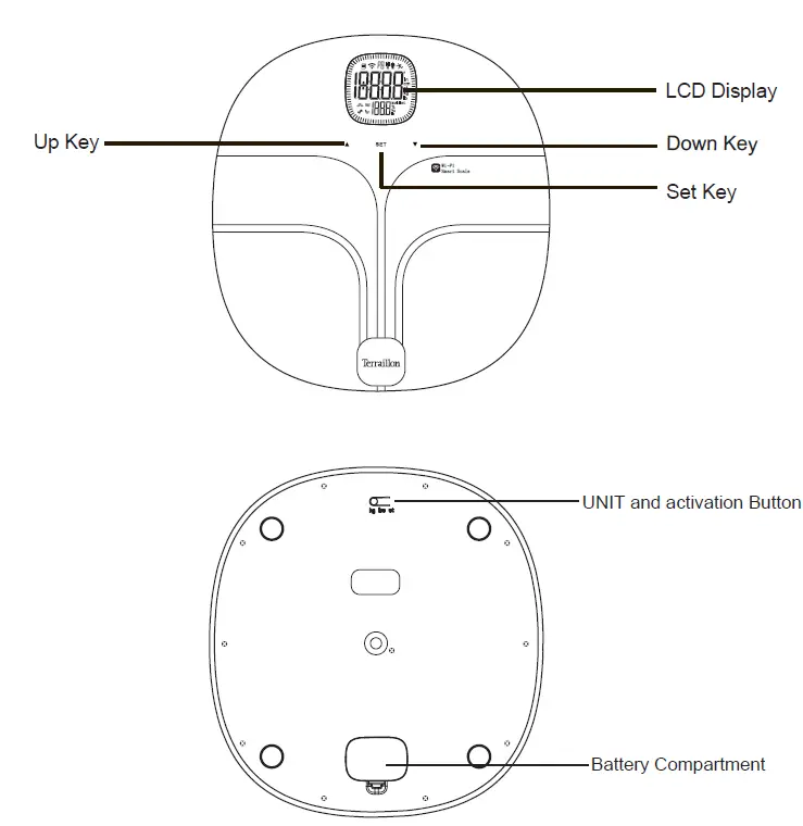 TRANSTEK GBF-1267-F Body Fat Analyzer-1