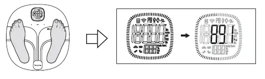 TRANSTEK GBF-1267-F Body Fat Analyzer-10