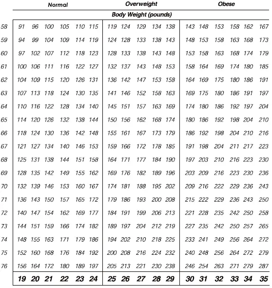 TRANSTEK GBF-1267-F Body Fat Analyzer-17