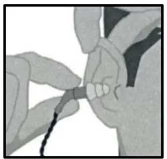 MCK Audio CMHH Companion Mics Multi Talker Noise Reduction System - sealing