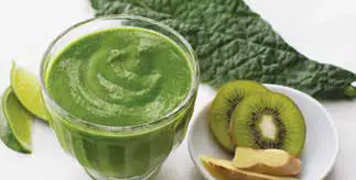 NINJA BN495UK Food Blender - Fig 2