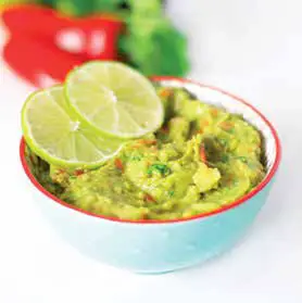 NINJA BN495UK Food Blender - GUACAMOLE