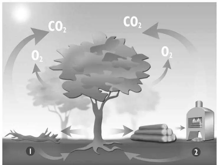 DENIA LAMBDA SOAP LAMBDA SAND Instructions - Nutrients