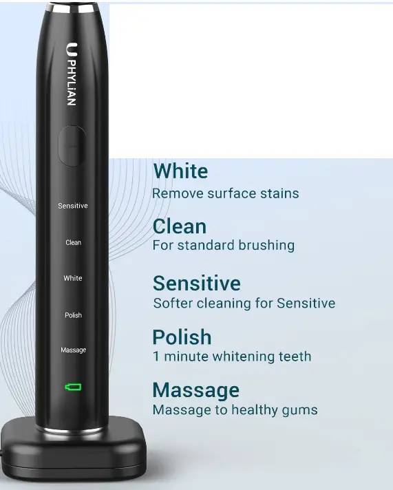 PHYLIAN-Electric-Toothbrush-Fig-1