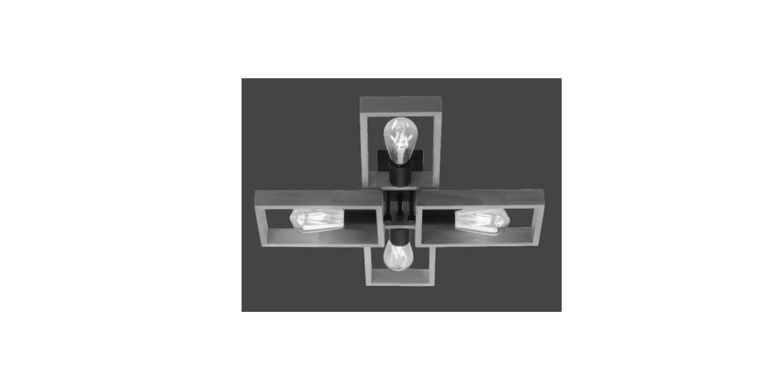 Leuchten Direkt 996794 Frame 4-light Antique Black And Distressed Light Brown Wood Instruction Manual