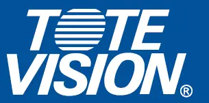 TOtE-VISION-LOGO