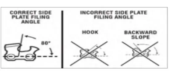 TOP PLATE FILING ANGLE