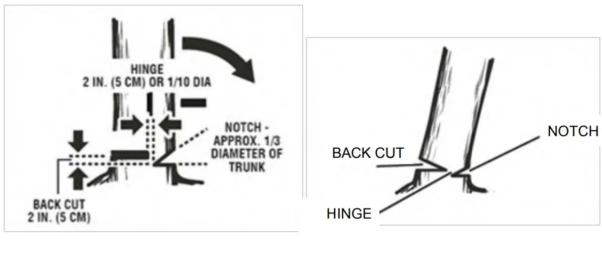Cutting Instruction