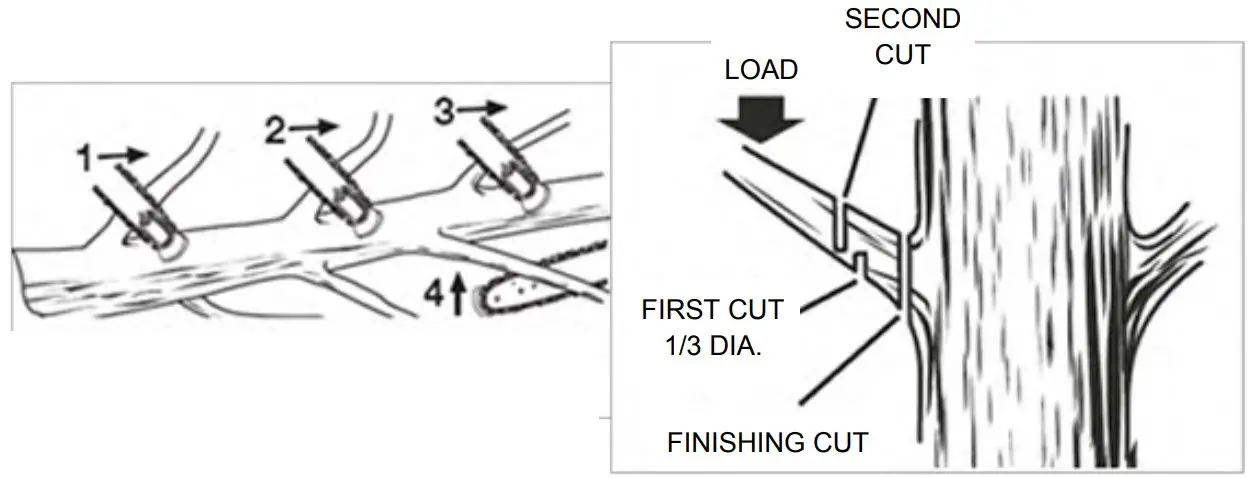 Cutting Instruction