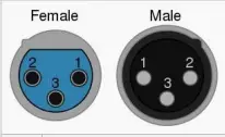 Male and Female XLR