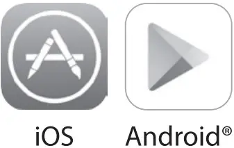 Apple or Android