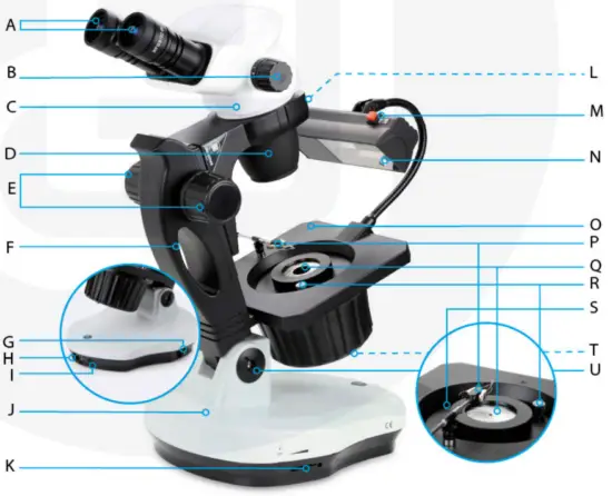 euromex NexiusZoom Trinocular Gemology Microscope - Image 1