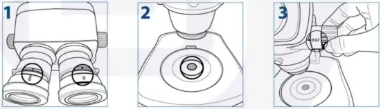 euromex NexiusZoom Trinocular Gemology Microscope - Image 5