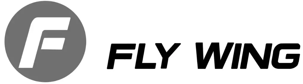 FLY WING logo--