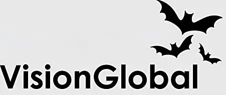 VisionGlobal
