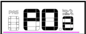 RULL-SE-EL-X3-Cargo-Fat-Tire-Ebike-Display- (12)