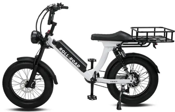 RULL-SE-EL-X3-Cargo-Fat-Tire-Ebike-Display-PRO