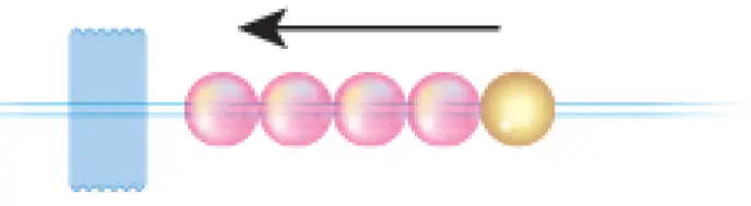 make-it-real-1323-Butterfly-Jewelry-Set-09