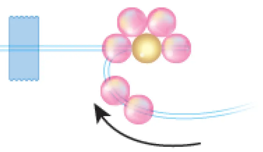 make-it-real-1323-Butterfly-Jewelry-Set-11