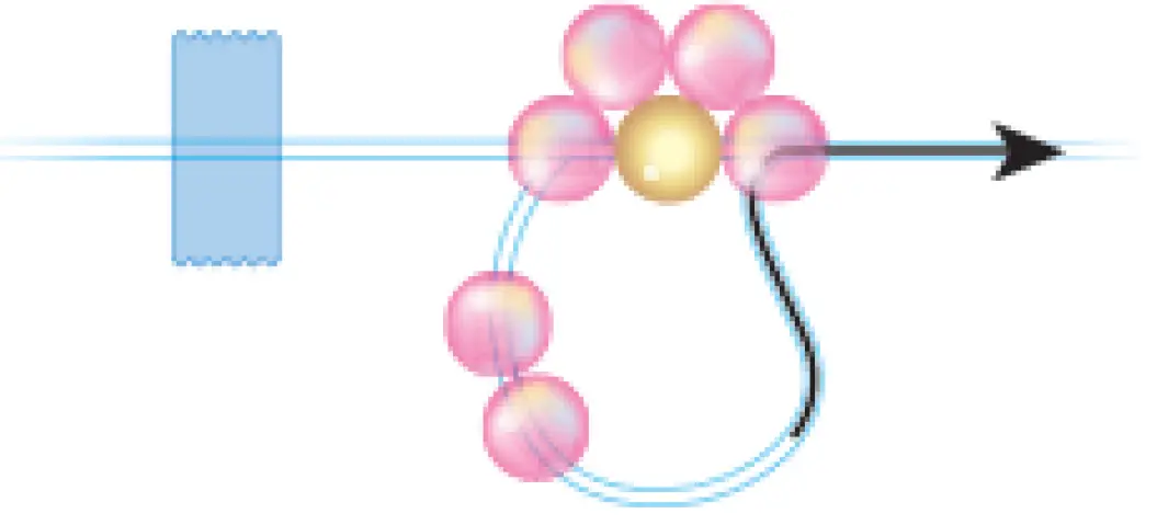 make-it-real-1323-Butterfly-Jewelry-Set-12