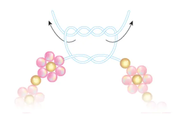 make-it-real-1323-Butterfly-Jewelry-Set-14