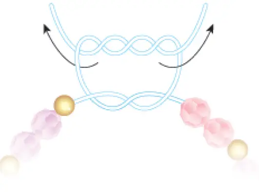 make-it-real-1323-Butterfly-Jewelry-Set-19