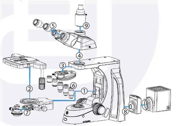 euromex-Delphi-X-Observer-Microscope-Holland-3