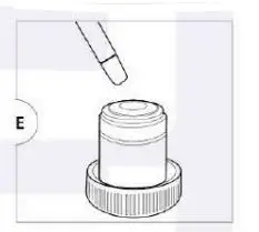 euromex-Delphi-X-Observer-Microscope-Holland-38