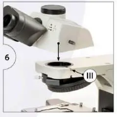 euromex-Delphi-X-Observer-Microscope-Holland-9