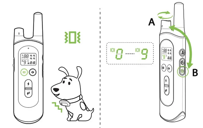 Dongguan Paitege Pet Products TC 20 Dog Training Cooler - figure 11