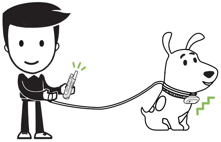 Dongguan Paitege Pet Products TC 20 Dog Training Cooler - figure 15