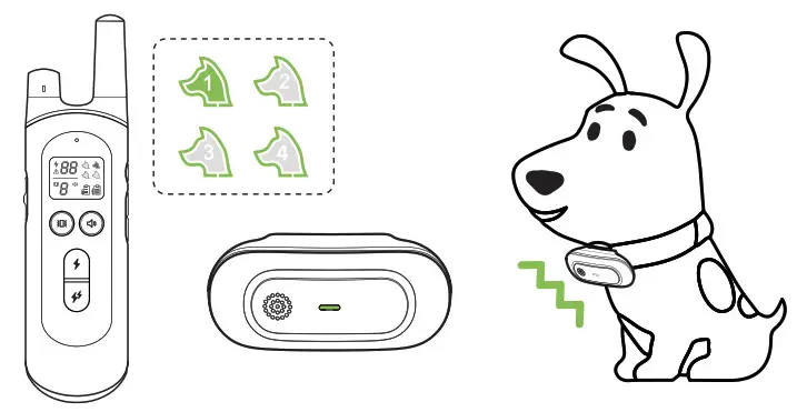 Dongguan Paitege Pet Products TC 20 Dog Training Cooler - figure 18