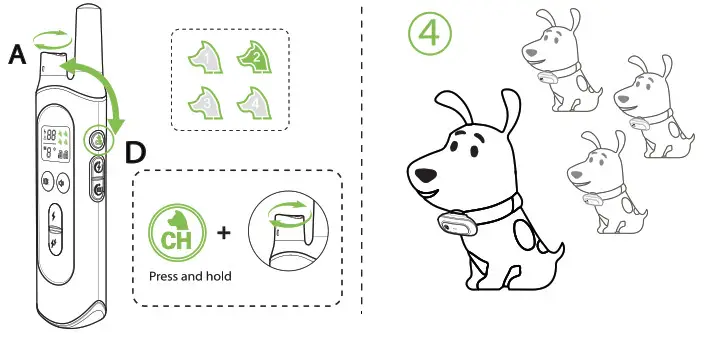 Dongguan Paitege Pet Products TC 20 Dog Training Cooler - figure 19