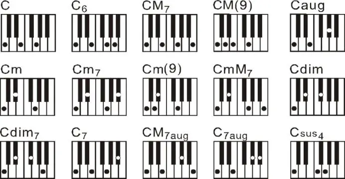 maxMUSIC KB12P Electric Keyboard Pro 61 Key Midi - CONTROLS 3