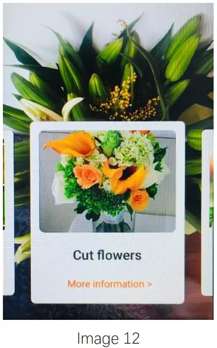 JoneR Offline Voice Translator -Image 12