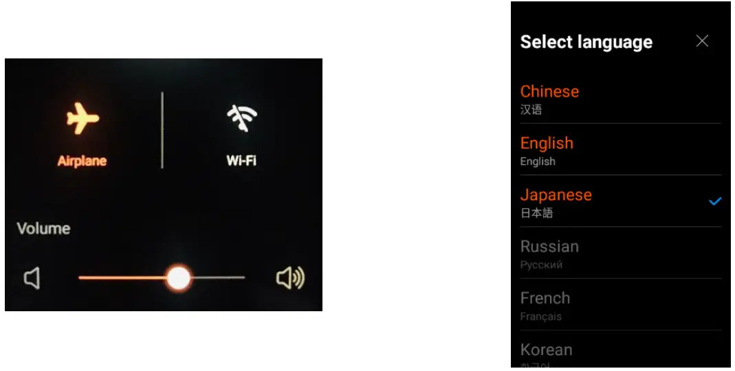 JoneR Offline Voice Translator -Offline Mode