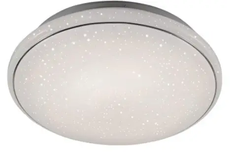 Paul-Neuhaus-14566016-Ceiling-Light-Product