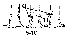 Poulan-PLN1514-Electric-Chain-Saw-21