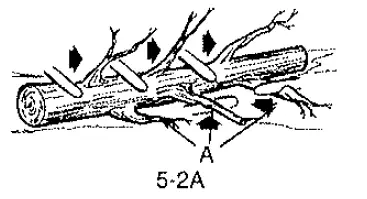 Poulan-PLN1514-Electric-Chain-Saw-23