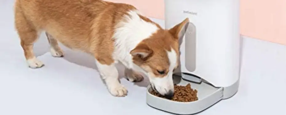 Pet Planet Petwant F5 10l Smart Pet Feeder User Manual Pet Planet Petwant F5 10l Smart Pet Feeder User Manual