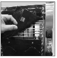 Antunes-EXPECT-SUCCESS-VCTM-2-Vertical-Contact-Toaster-15