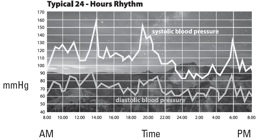 BIOS BD252 Blood Pressure Monitor 01