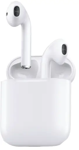 Bluestone TWS8 podz True Wireless Earbuds